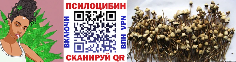 omg онион Судогда Галлюциногенные грибы GOLDEN TEACHER